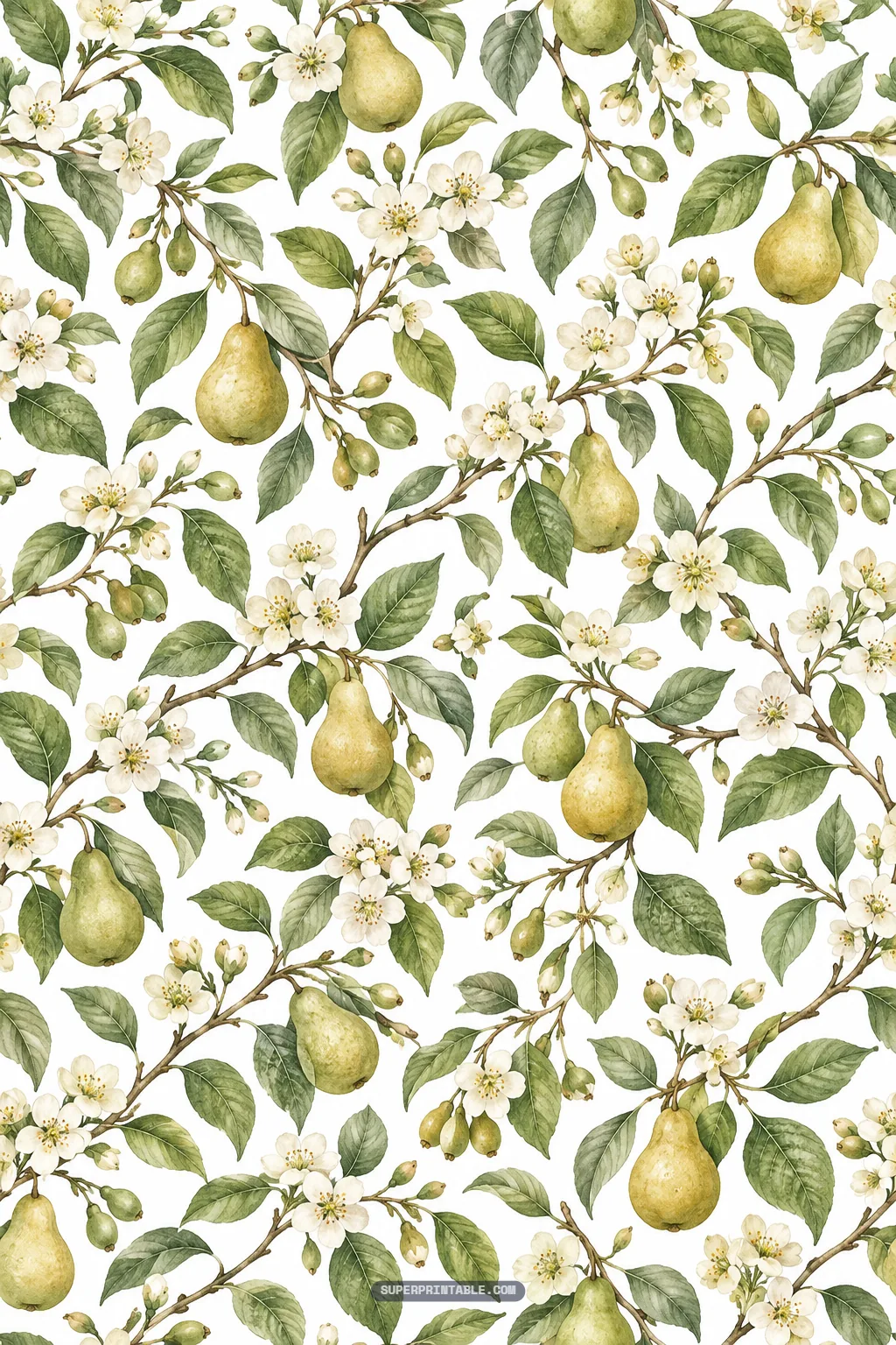 Detailed vintage botanical boughs laden with hanging pears, leafy branches, and white blossom clusters.