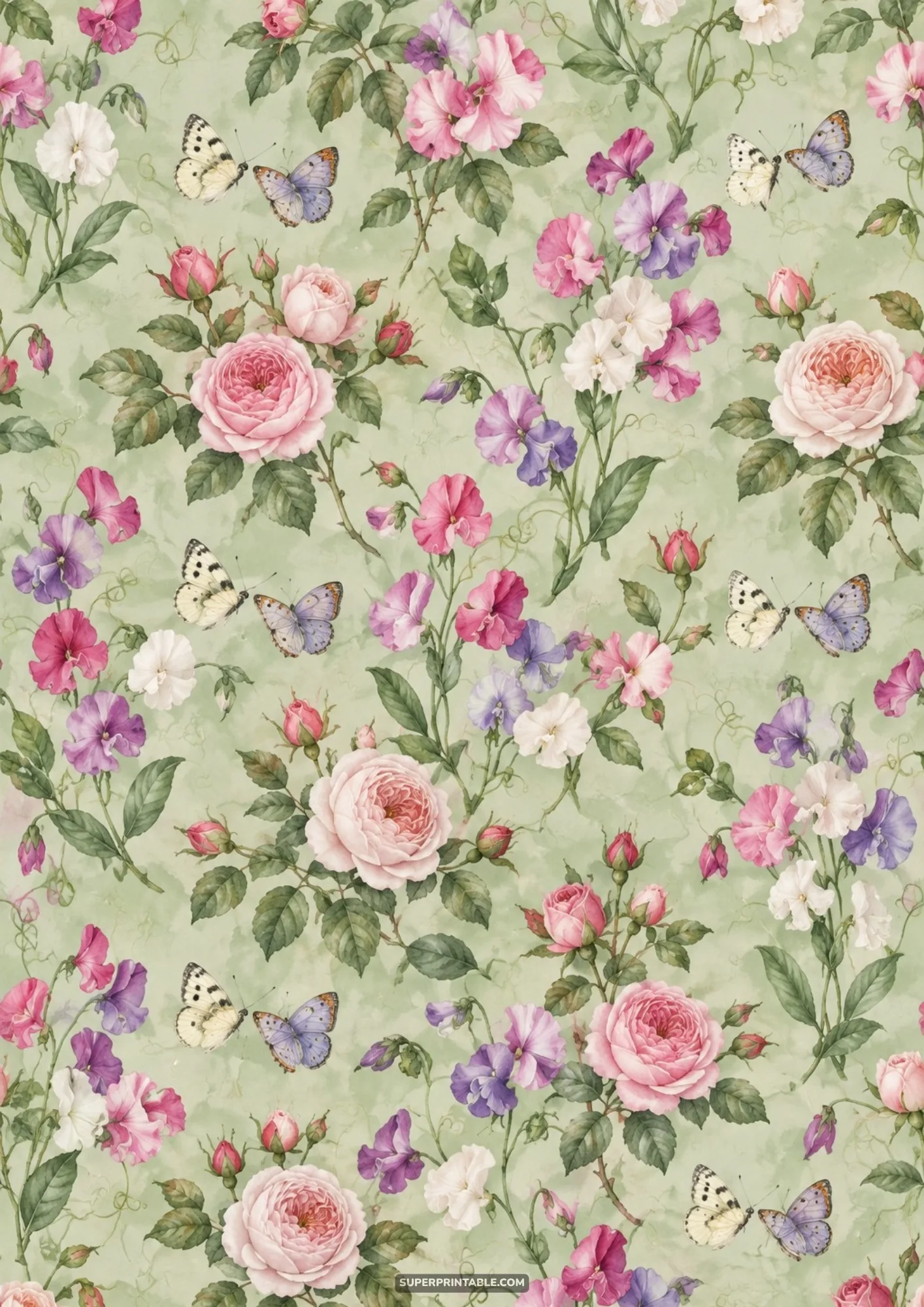 Vintage botanical wallpaper pattern of pink cabbage roses, sweet peas, and flying butterflies