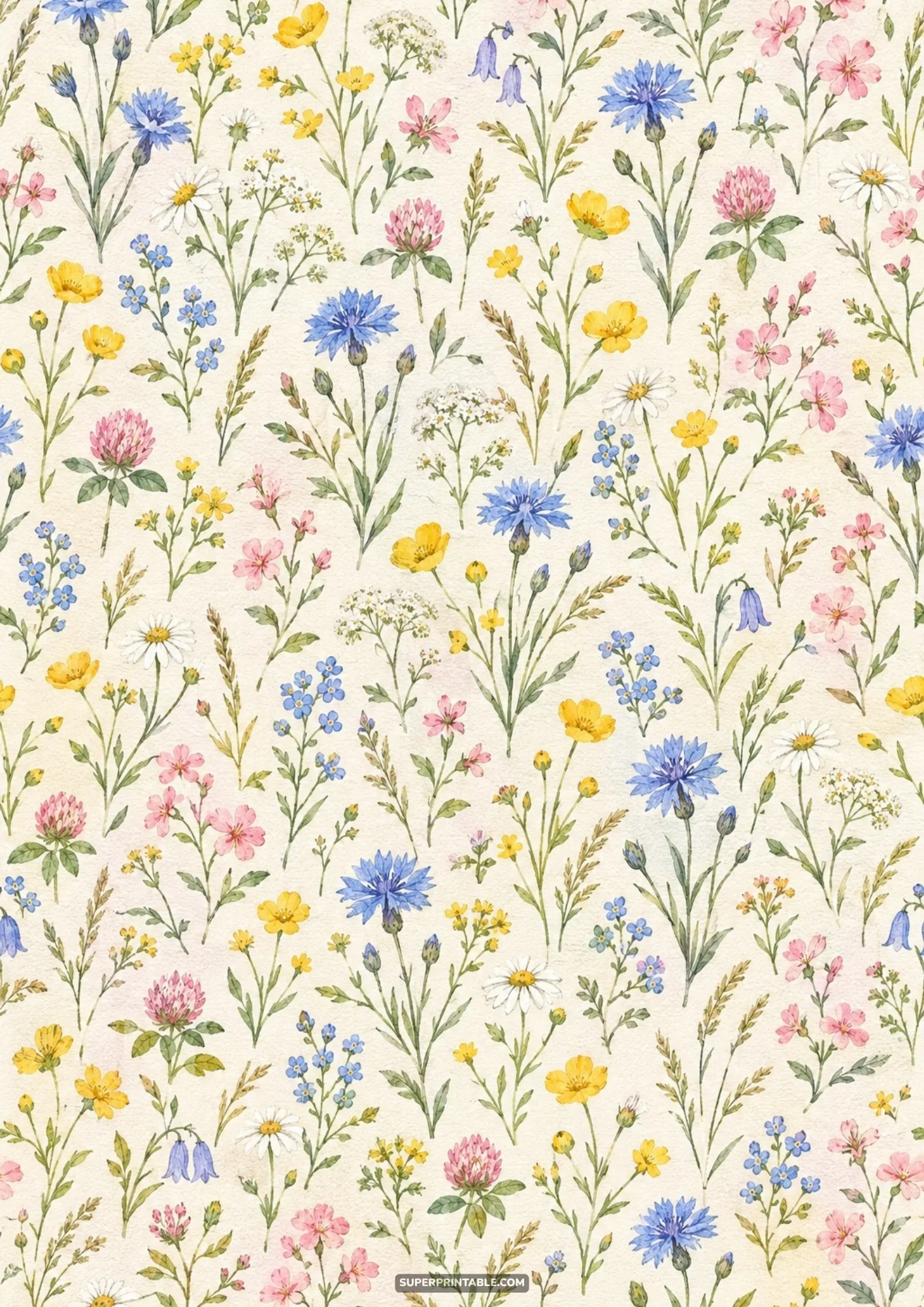 Charming cottagecore wildflower backgrounds with watercolor cornflowers, clover, and meadow grasses