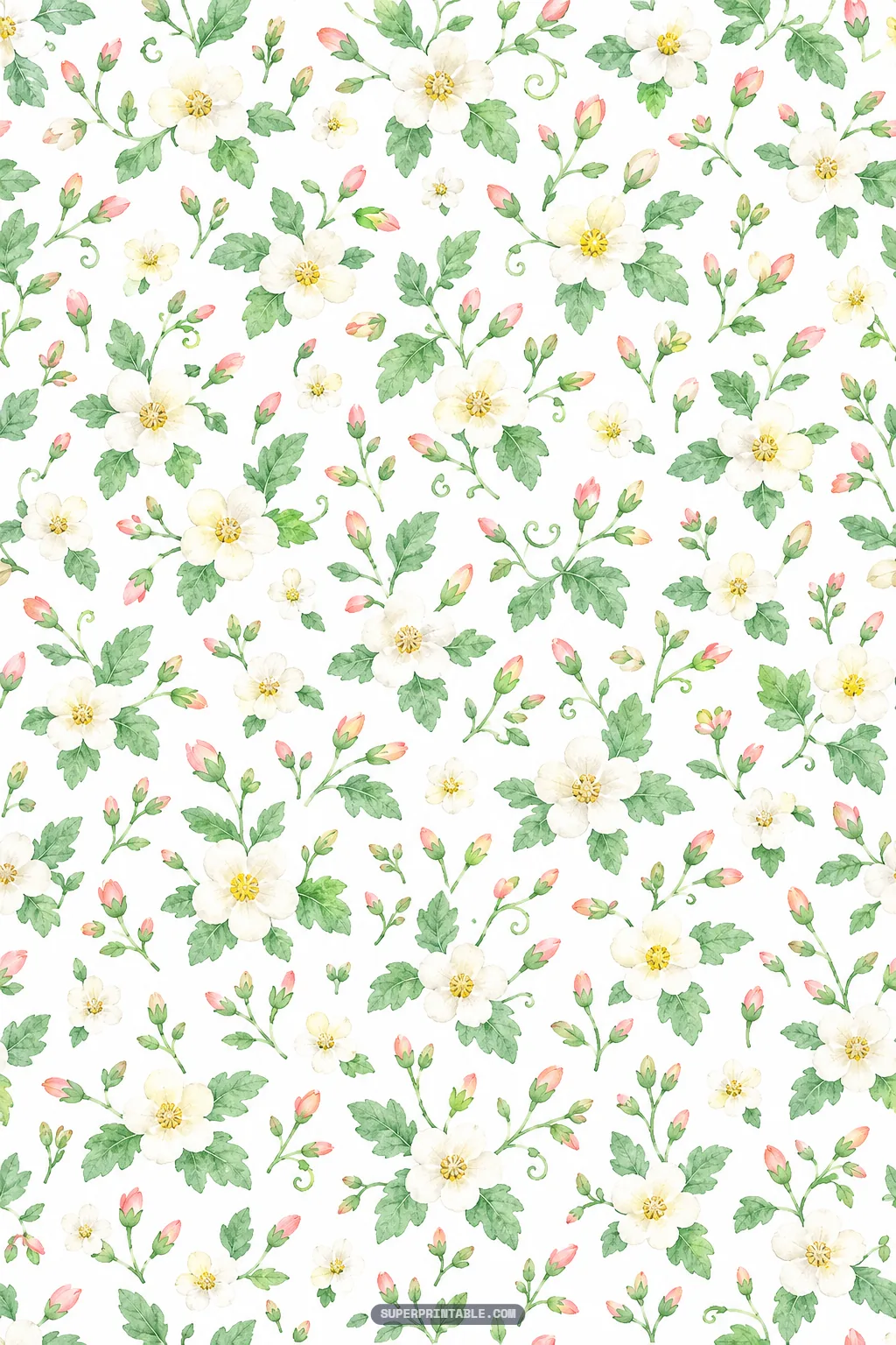 Dainty white watermelon flower blossoms, leafy branches, and delicate pink buds on white paper