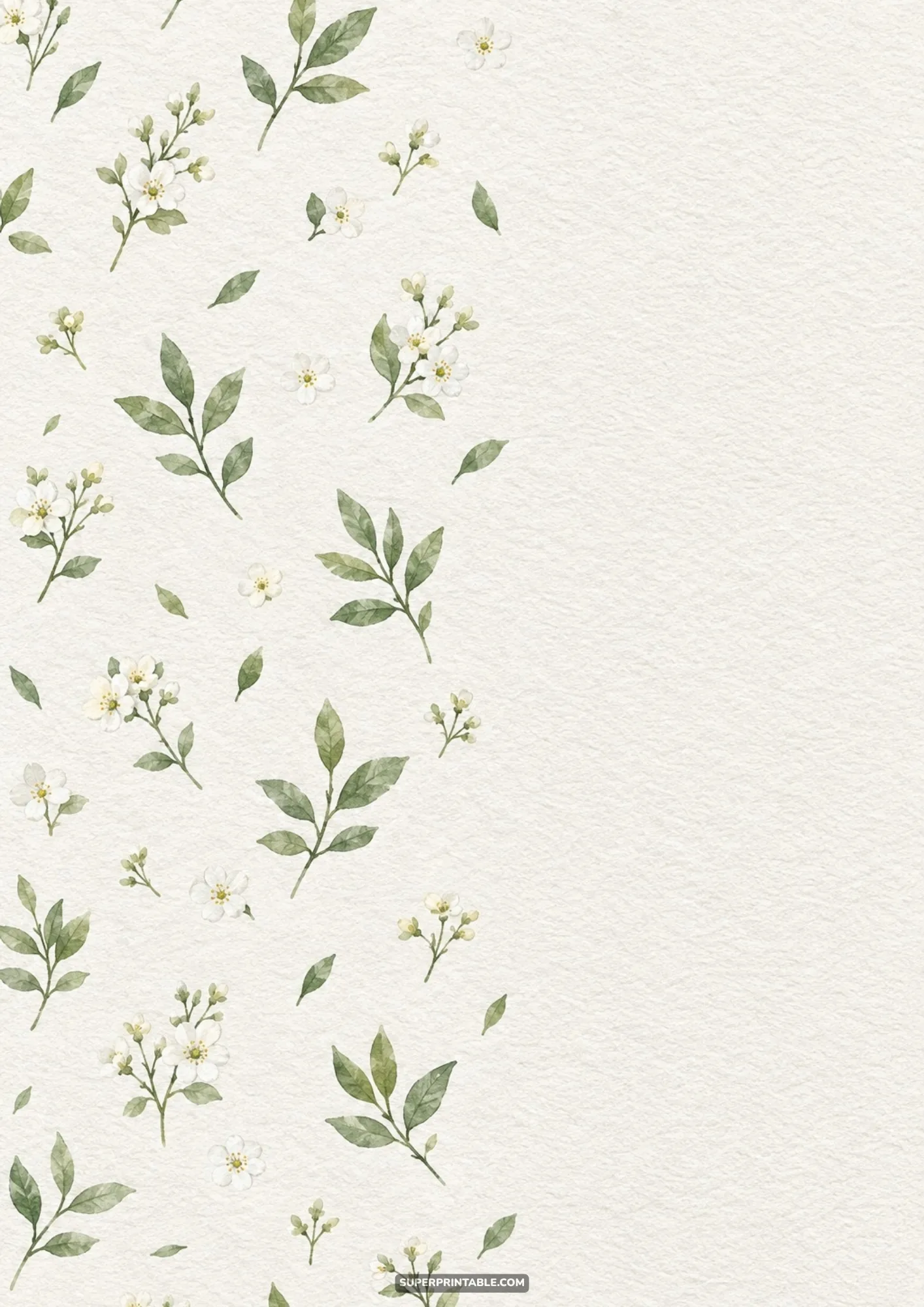Delicate white wildflower blossoms and sage leaves bordering the left side of ivory paper