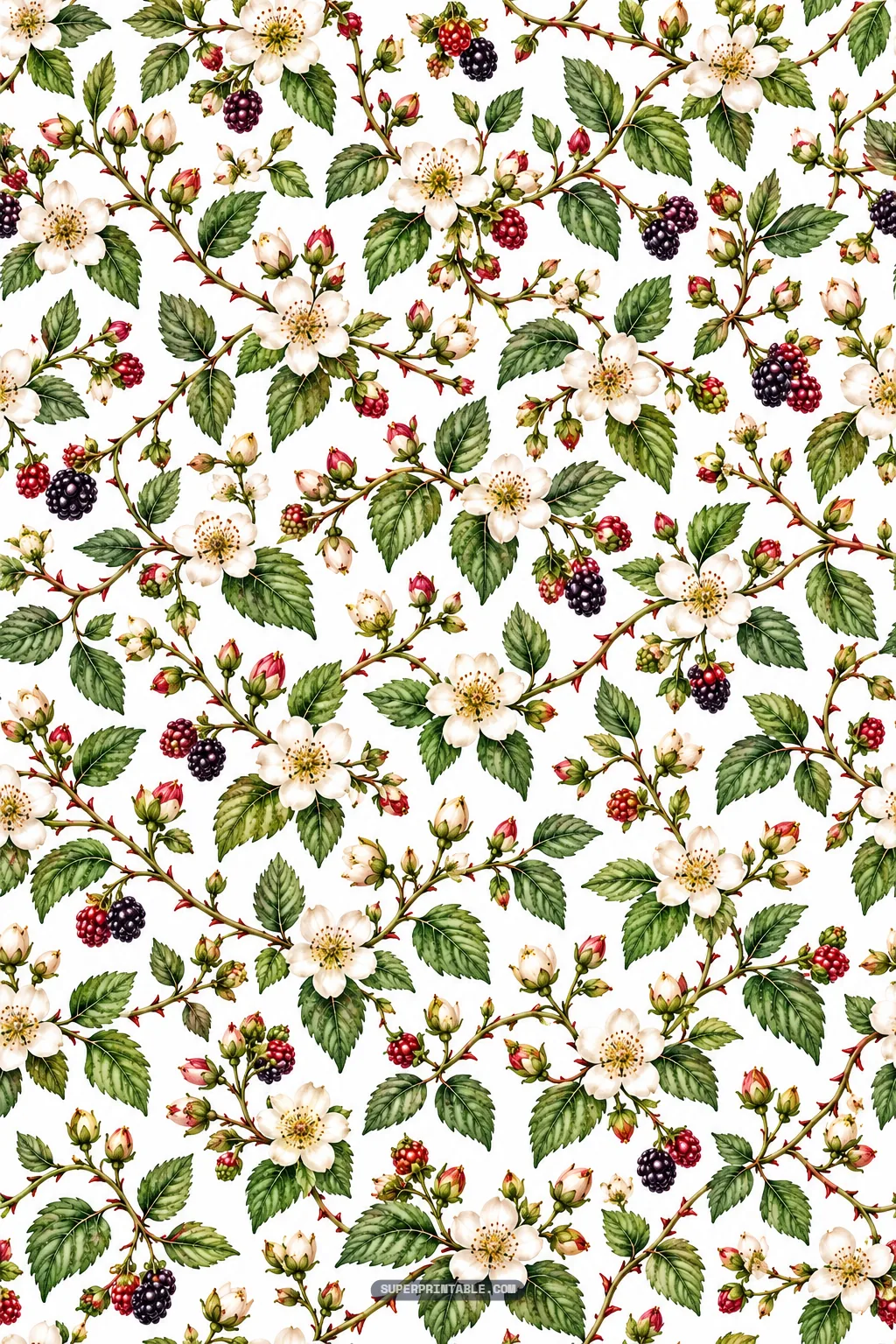 Delicate flowering bramble vine design featuring prominent white blossoms and green leaf sprigs