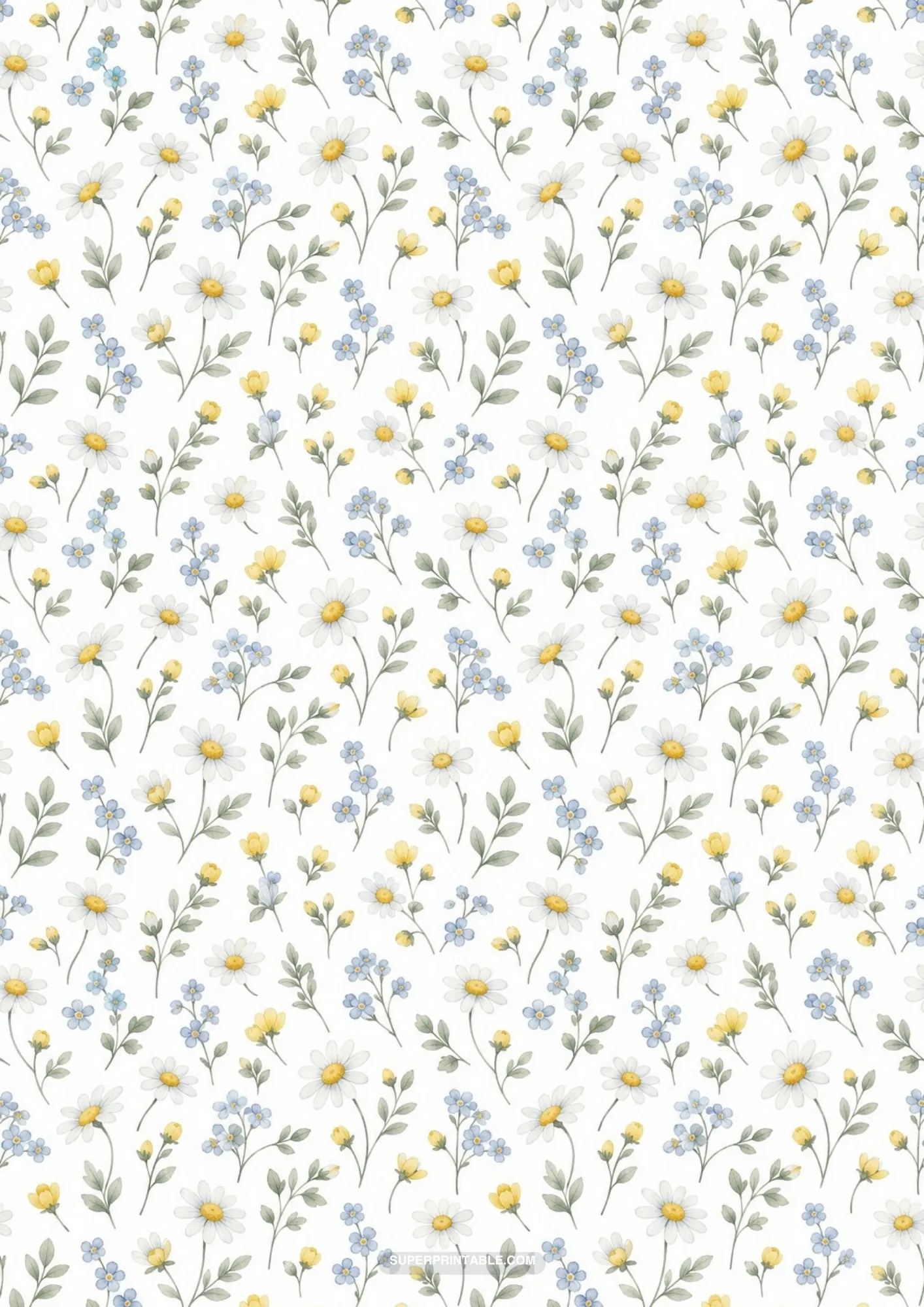 Sweet meadow flowers including daisies and tiny blue blossoms on white background