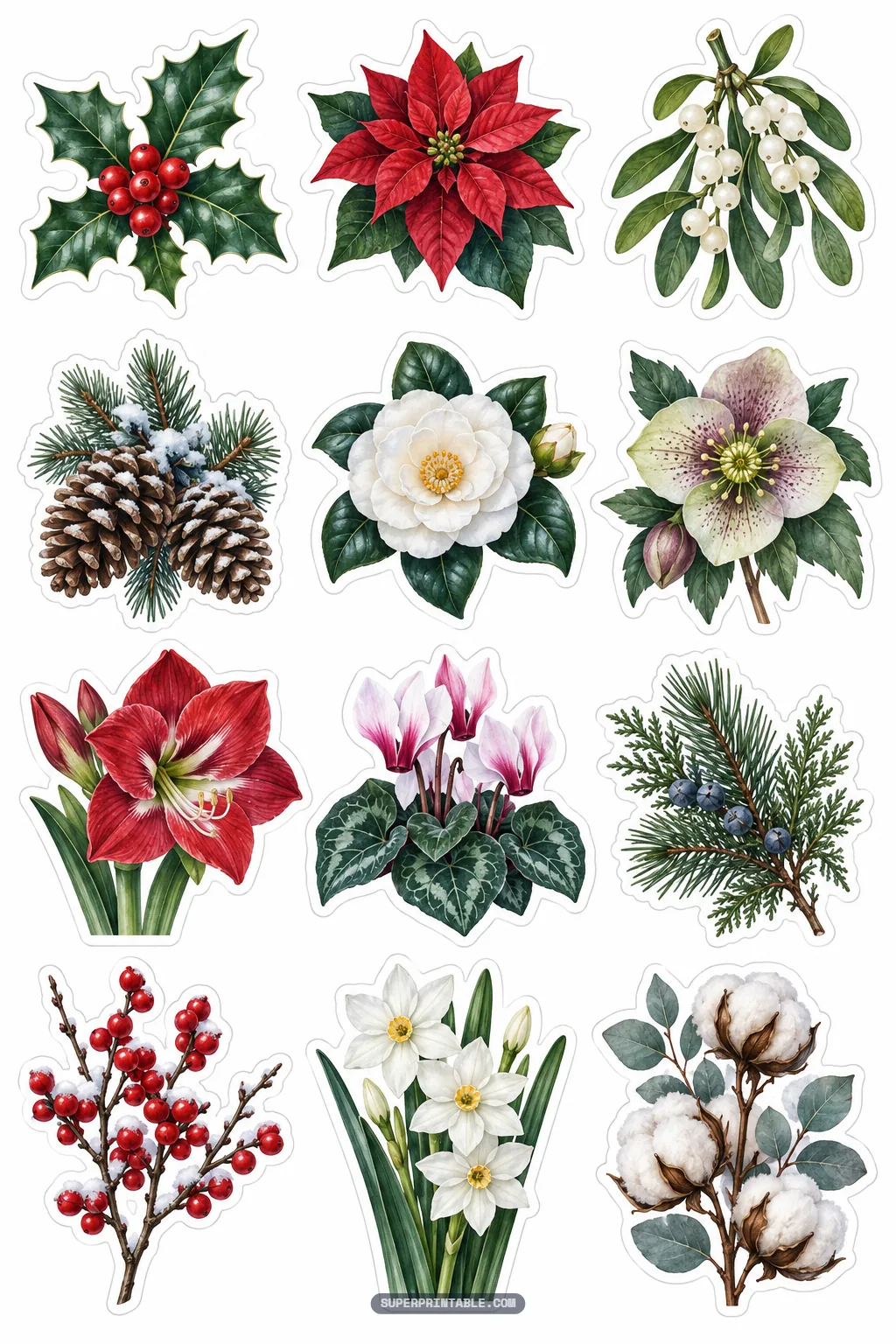 Winter botanical stickers showing poinsettias, mistletoe, red amaryllis, pine boughs, and cotton stems