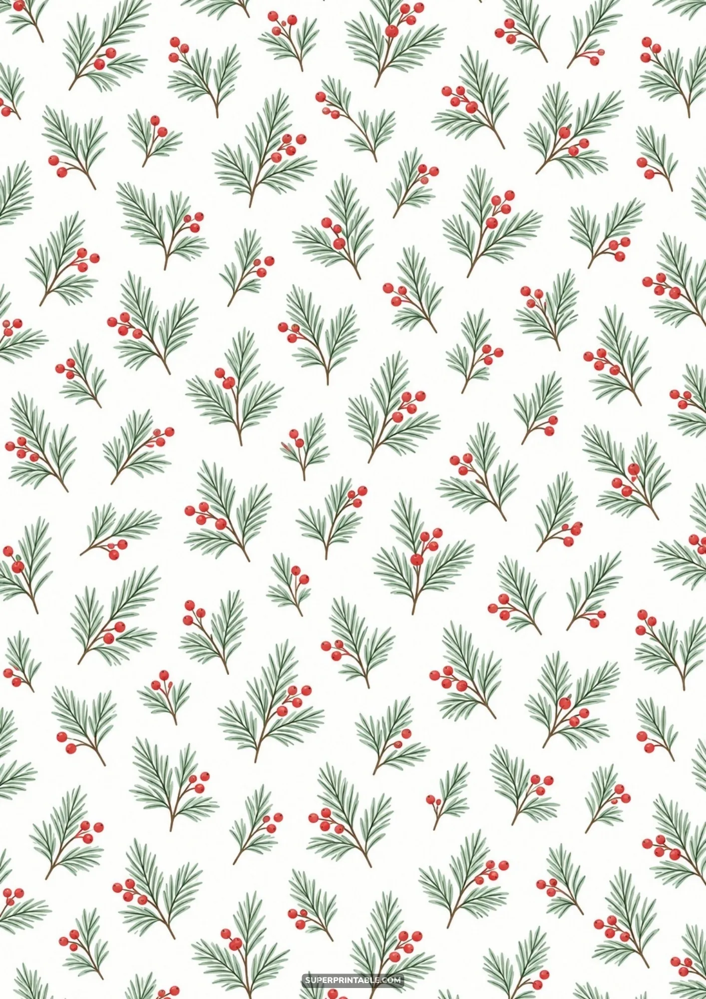 Detailed pine needles and cedar branches with clusters of red winter berries on white.