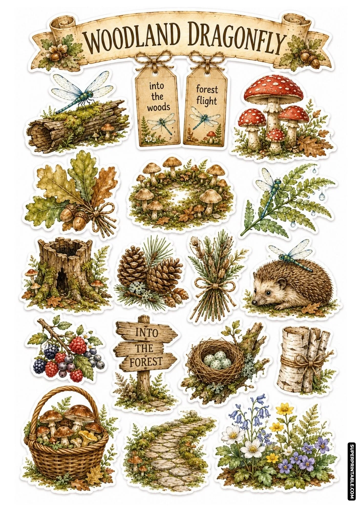 Forest woodland sticker sheet with red toadstool mushrooms, cute hedgehog, mossy logs, and wild pinecones.