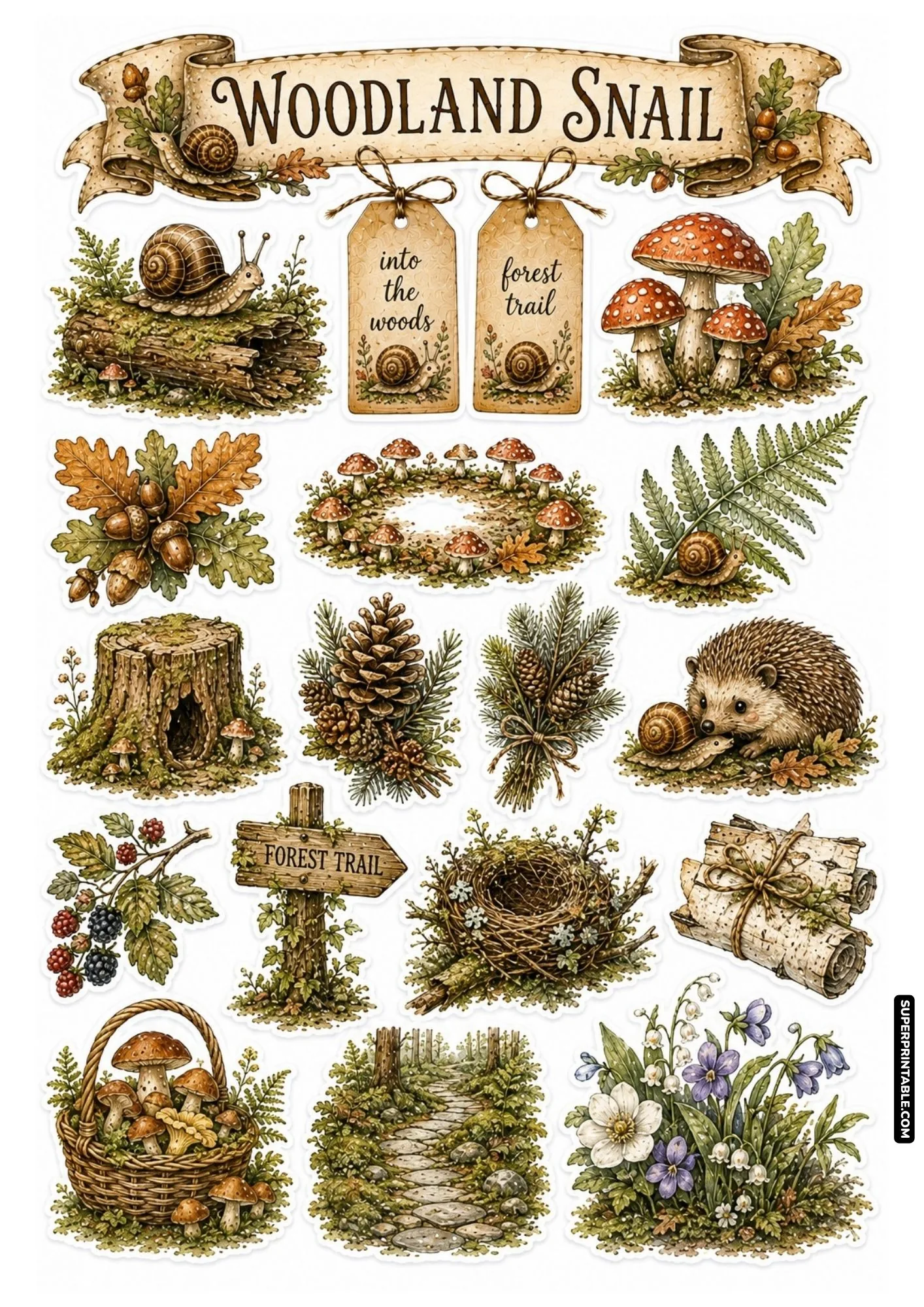 Woodland forest sticker sheet featuring mossy logs, red toadstools, cute hedgehog, and pinecones.