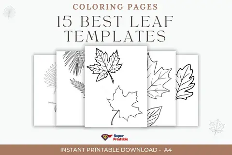 "Image of 15 leaf templates for coloring, with outlines of various leaf shapes overlapping in a preview. Tone is creative and inviting for DIY projects."