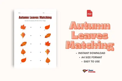 Autumn Leaves Matching Feature Image