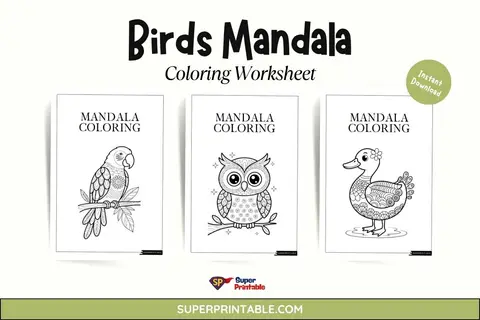 10+ Birds Mandala Coloring Worksheet Feature Image