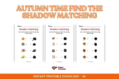 5 Autumn Time Find The Shadow Matching Worksheet