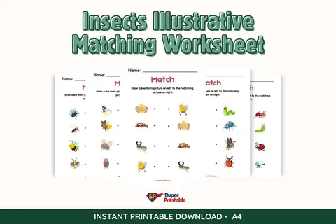 Insects Illustrative Matching Worksheet