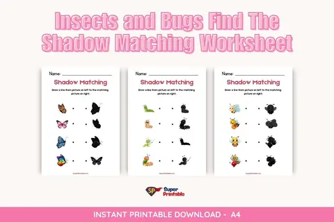 Insects and Bugs Find The Shadow Matching Worksheet Feature Image