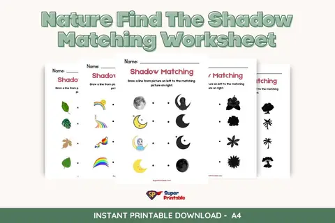 Nature Find The Shadow Matching Worksheet Feature Image