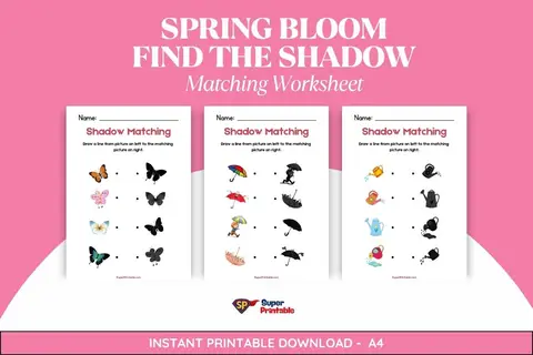 4 Spring Bloom Find The Shadow Matching Worksheet