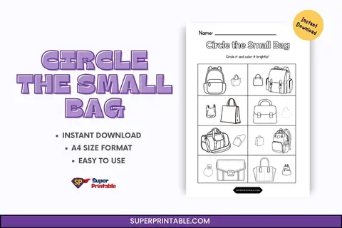 Circle the Small Bag