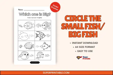 Circle the Small Fish Big Fish Feature Image