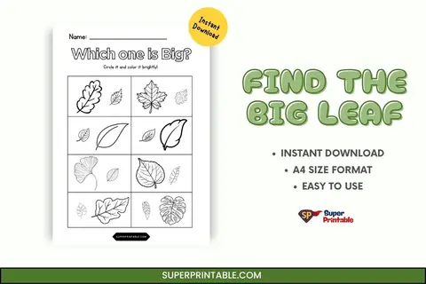 Find the Big Leaf