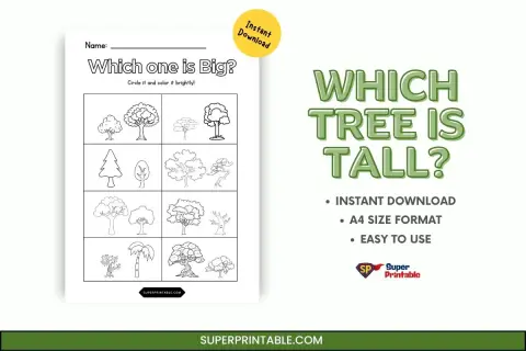 Which Tree Is Tall Feature Image