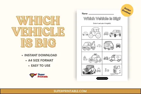 Which Vehicle Is Big