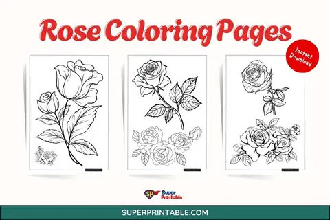 20 Rose Coloring Pages Feature Image