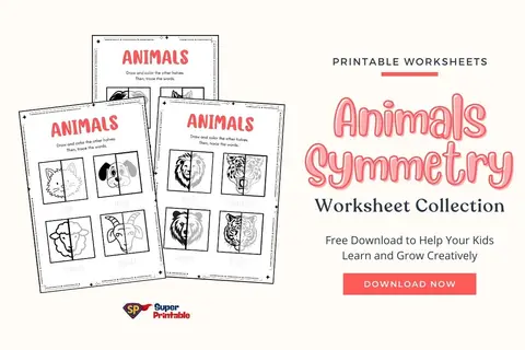 Animals Symmetry Worksheet Feature Image