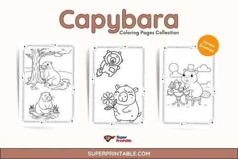 Capybara Coloring Pages Feature Image