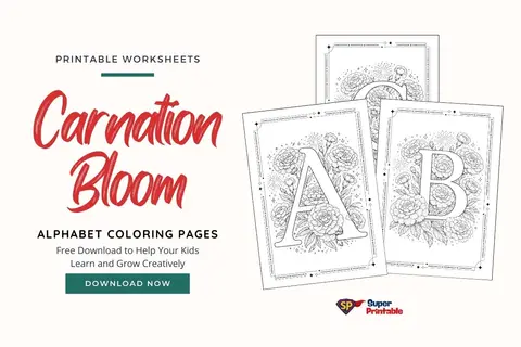 Carnation Bloom Alphabet Coloring Pages Feature Image