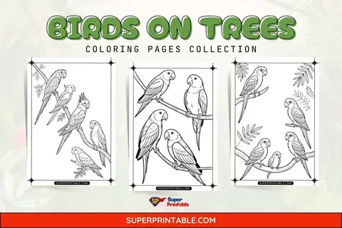 12+ Birds On Trees Coloring Pages Feature Image