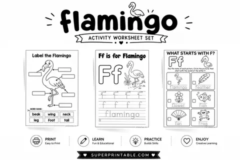 7 Flamingo Activity Worksheet Feature Image