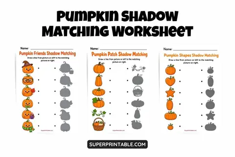 Pumpkin Shadow Matching Worksheet Feature Image