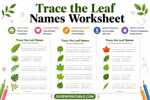 Trace the Leaf Names Worksheet Feature Image