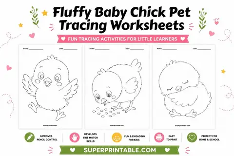 Fluffy Baby Chick Pet Tracing Worksheets Feature Image