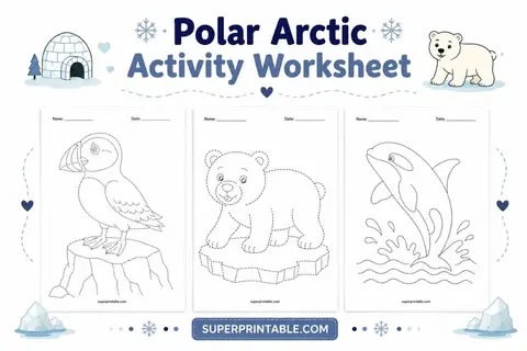 Polar Arctic Activity Worksheet Feature Image