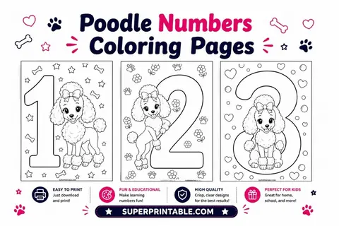 Poodle Numbers Coloring Pages Feature Image