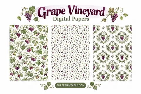 12+ Grape Vineyard Digital Papers Feature Image