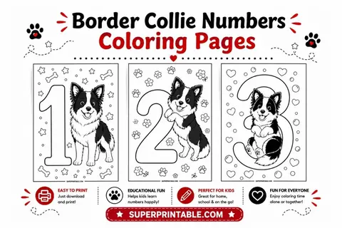 Border Collie Numbers Coloring Pages Feature Image
