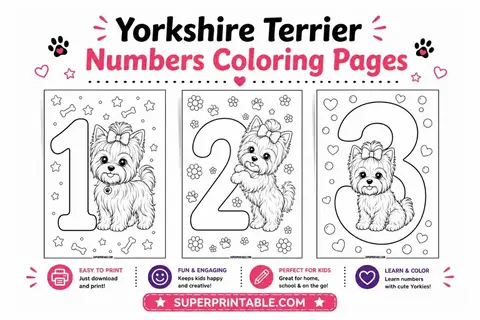 Yorkshire Terrier Numbers Coloring Pages Feature Image