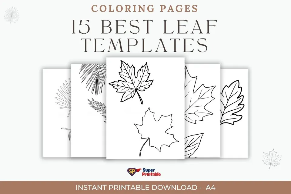 "Image of 15 leaf templates for coloring, with outlines of various leaf shapes overlapping in a preview. Tone is creative and inviting for DIY projects."