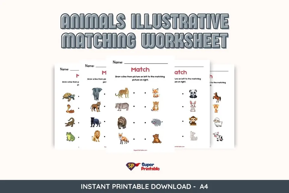 Animals Illustrative Matching Worksheet