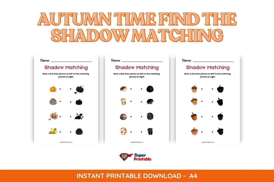 5 Autumn Time Find The Shadow Matching Worksheet