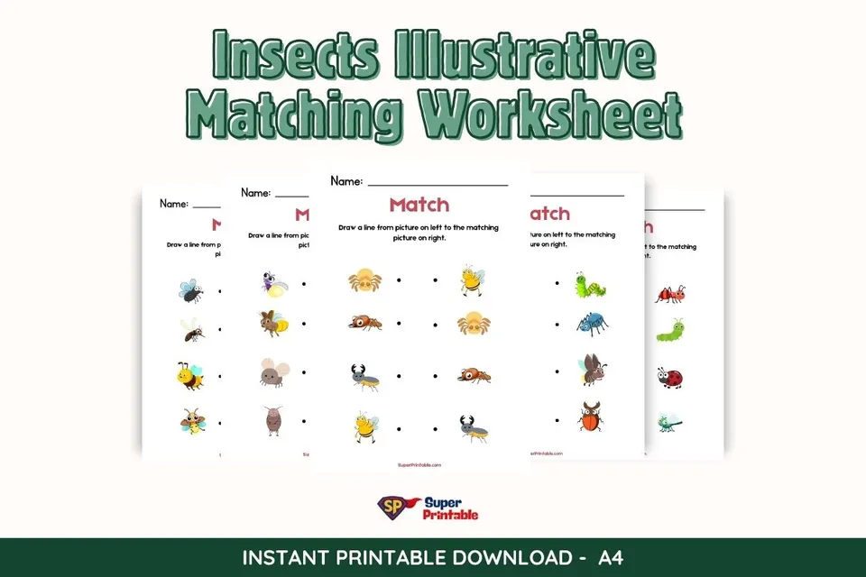 Insects Illustrative Matching Worksheet