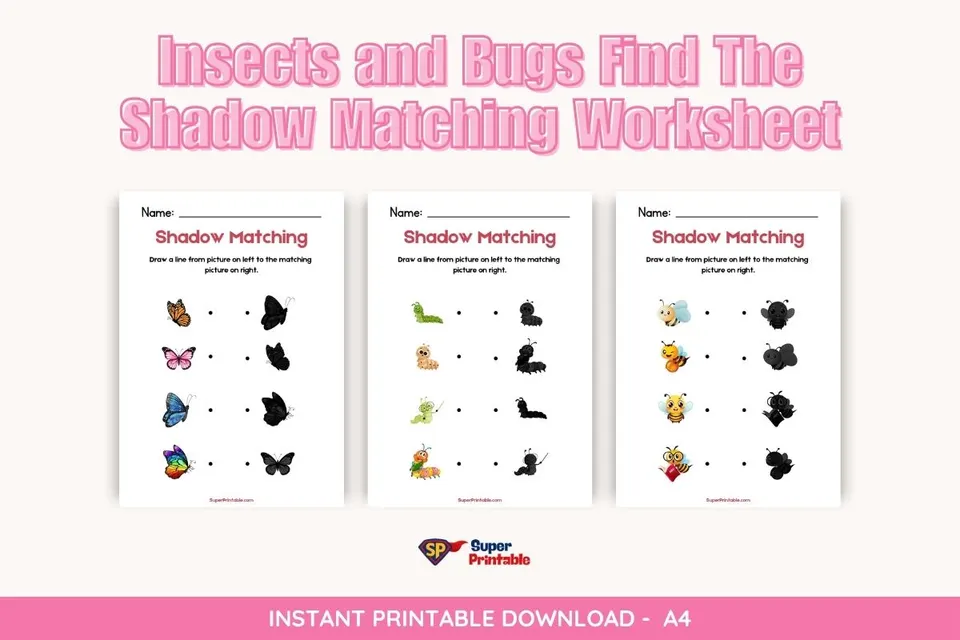 Insects and Bugs Find The Shadow Matching Worksheet Feature Image