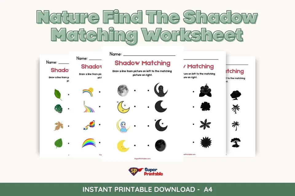 Nature Find The Shadow Matching Worksheet Feature Image