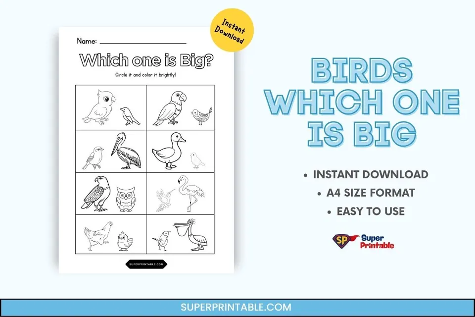 Birds Which one is Big Feature Image