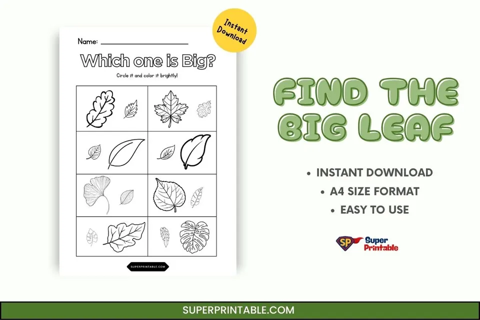 Find the Big Leaf