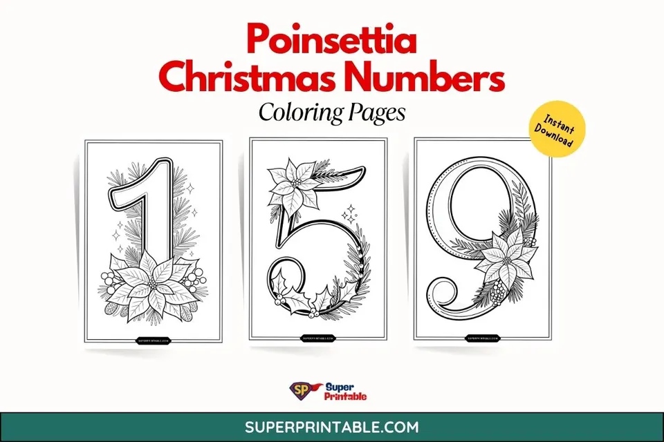 Poinsettia Christmas Numbers Coloring Pages Feature Image