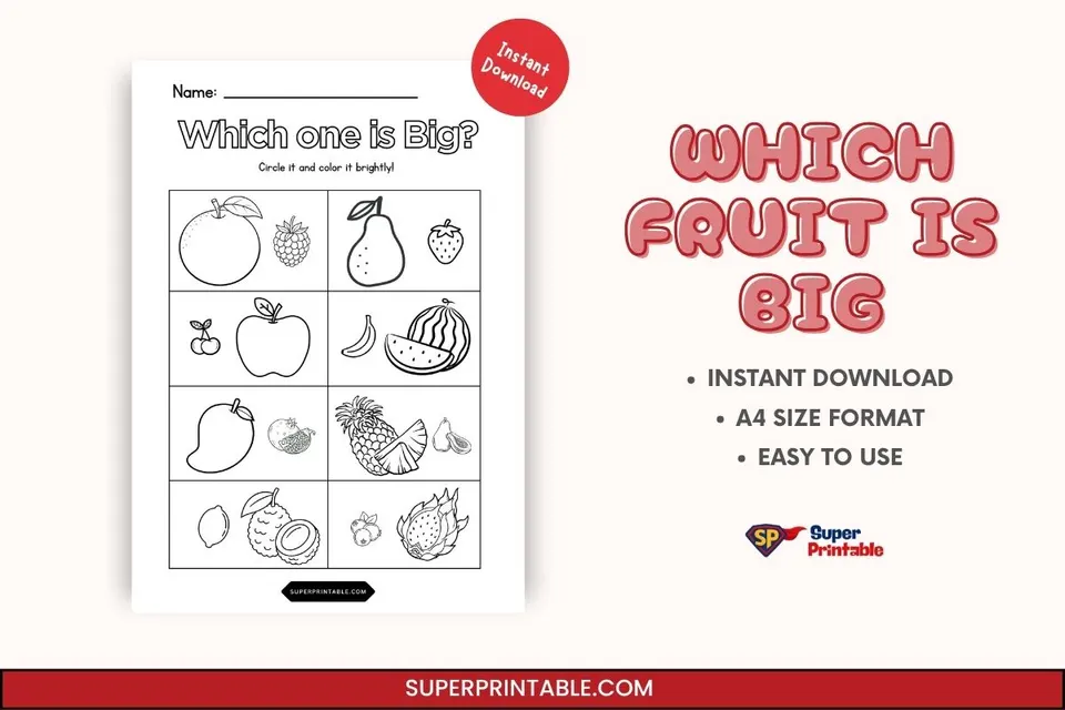 Which Fruit Is Big