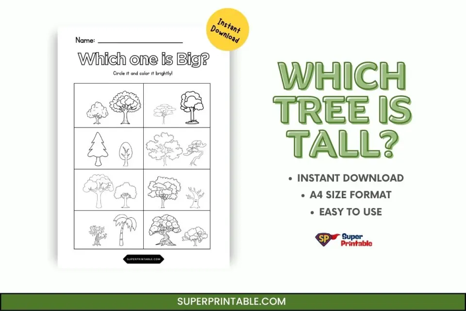 Which Tree Is Tall Feature Image