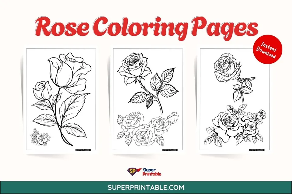 20 Rose Coloring Pages Feature Image
